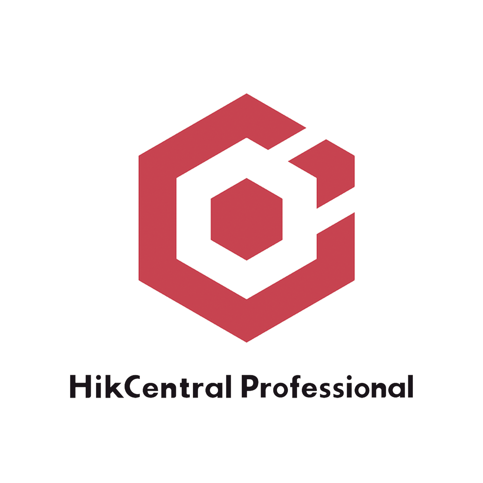 HikCentral Professional / Licencia Añade 1 Canal Adicional de Video (HikCentral-P-VSS-1Ch)